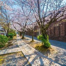 Kurashiki Ivy Square 