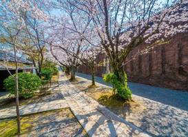 Kurashiki Ivy Square 