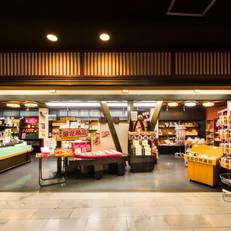 Kinugawa Plaza Hotel 