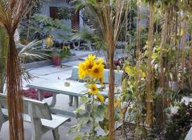 Duc Thao Guest House 