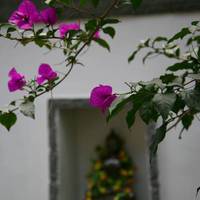 Sukhothai Liang Inn