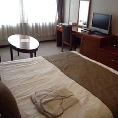 Okayama Plaza Hotel 