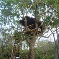 Jays Holiday Resort 