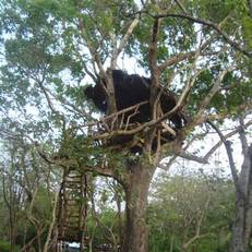 Jays Holiday Resort 