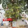 Alipore Guest House 