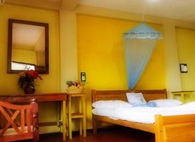 SurfCity Guesthouse 