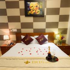 Iris Hotel Da Nang 