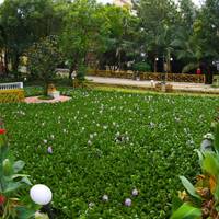 Park Village Hotel 