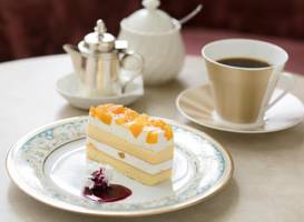 Ark Hotel Okayama 