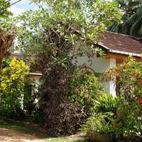 Tandem Guesthouse 