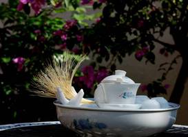 Fresh Summer Inn 