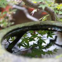 Ryokan Kaminaka 