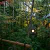 Gion Yoshiima 