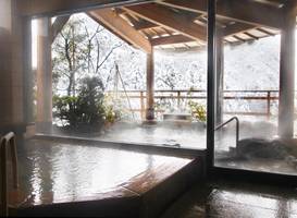 Hanamurasaki 