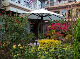 Hotel Orchid 
