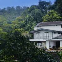 Forest Glen 