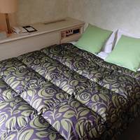Hotel A.P 