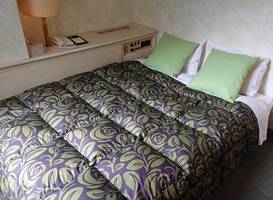 Hotel A.P 