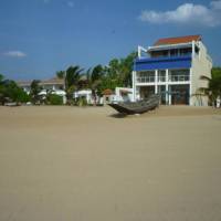 The Cove 