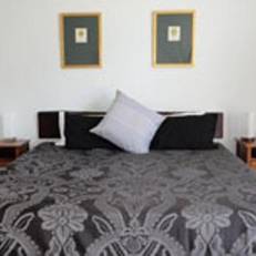Daintree Wild Bed & Breakfast