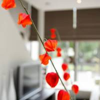 Apartments by Nagee Canberra