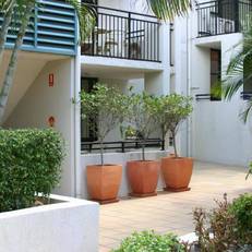 Spring Hill Mews Apartments