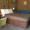 Rippleside Park Motor Inn