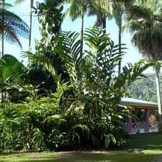 Daintree Valley Haven