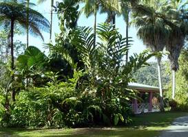 Daintree Valley Haven