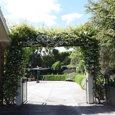 Trevallyn House B & B