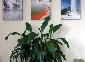 Emerald Spa Motor Inn 