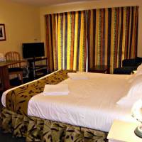 Abelia Motor Lodge 
