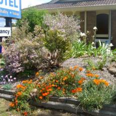 Albury City Motel