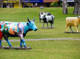 Quest Shepparton
