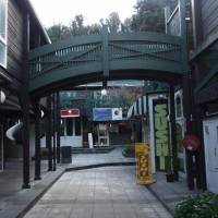 Willis Village 