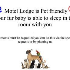 Motel Lodge