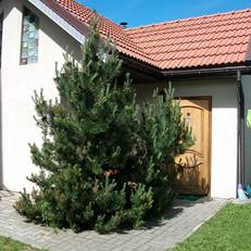 Holiday Village Apartments 