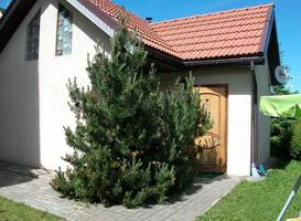 Holiday Village Apartments 