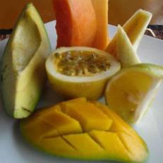 Albizia Lodge Green Estate 