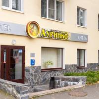 Гостиница Ауринко
