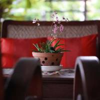 Baan Tye Wang Guesthouse 