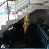 Khon Kaen Orchid Hotel 