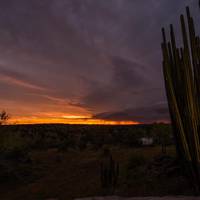 Eagle Rock Guest-Farm and Business Lodge 