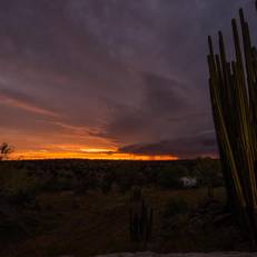Eagle Rock Guest-Farm and Business Lodge 