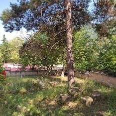 EcoRest Borjomi - Likani Palace 