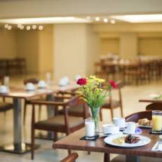 Central Park Hotel Casino & Spa 