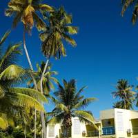 Turtle Beach by Rex Resorts 