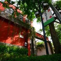 Hotel Arbol de Fuego 