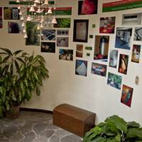 Hotel Arbol de Fuego 