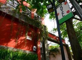 Hotel Arbol de Fuego 